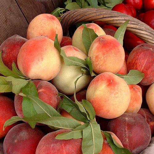 Garden's Bounty: Fresh-Picked Orchard Medley